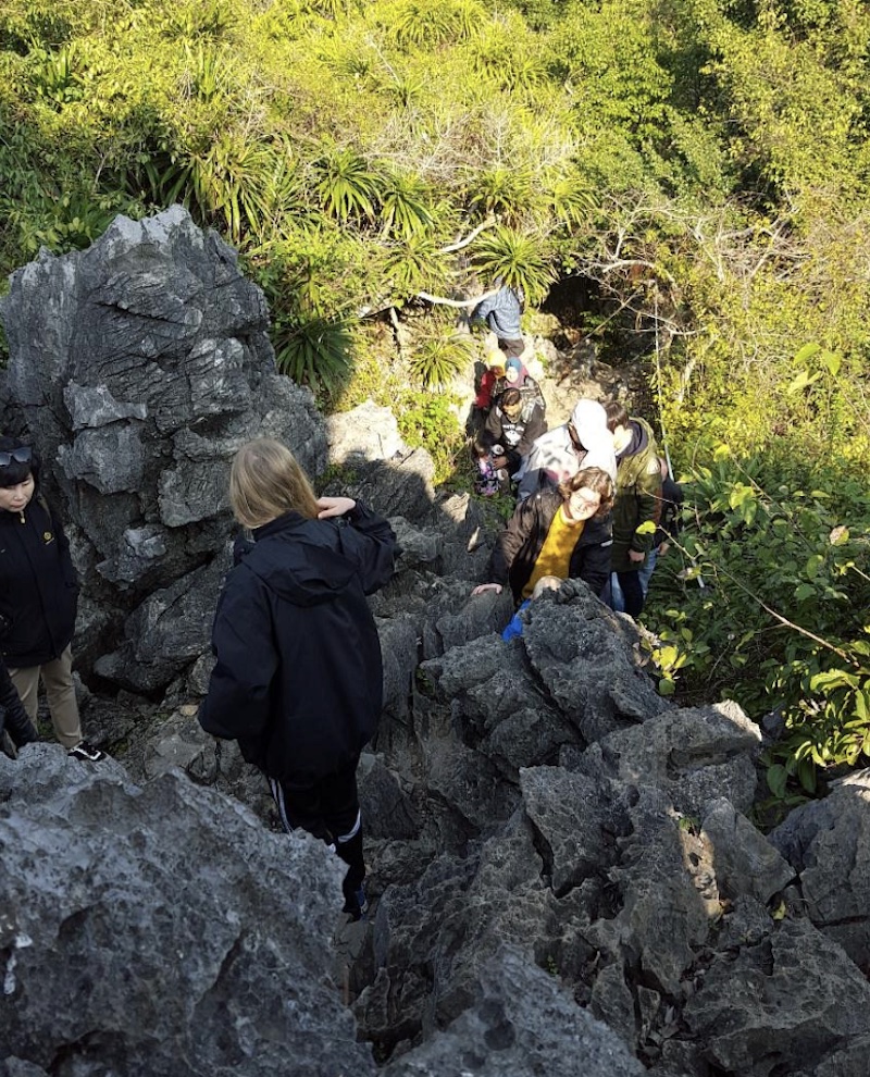 Where is Me Cung Cave located?