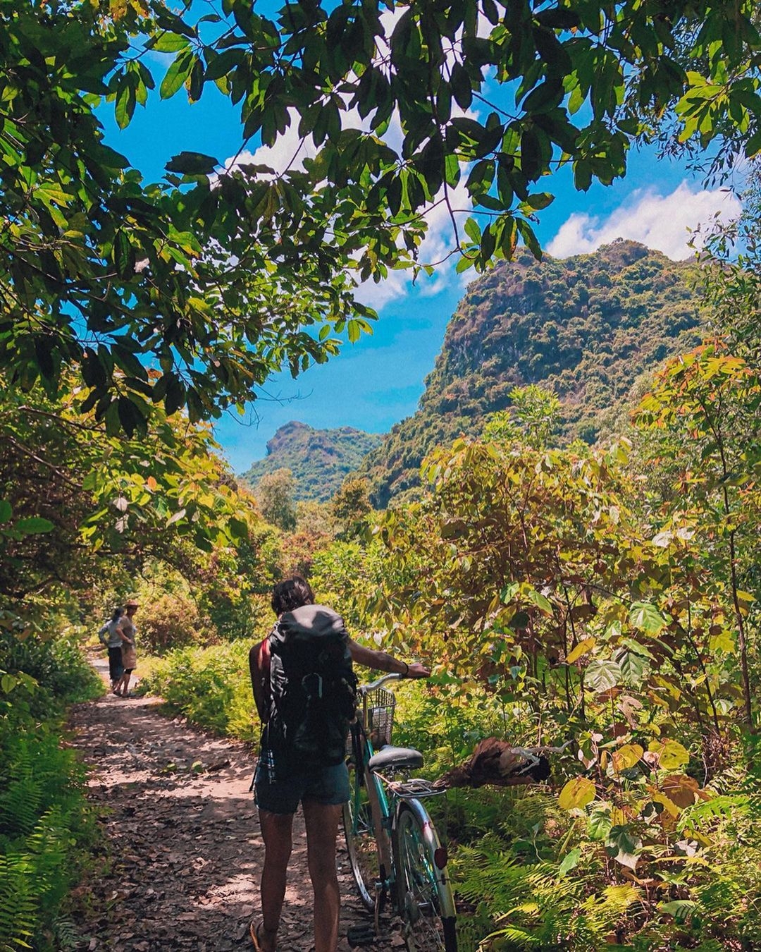Cat Ba National Park Adventure Tour – Trekking, Cycling & Viet Hai Village