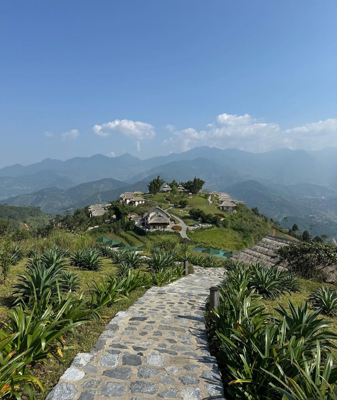 Y Linh Hồ – Lao Chải – Tả Van Half Day Trekking Tour 