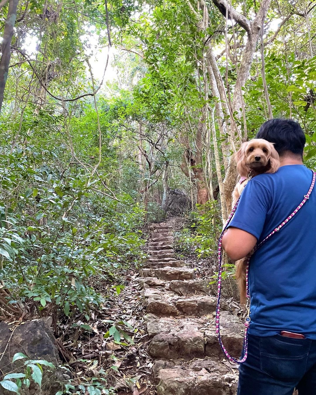 Cat Ba National Park Adventure Tour – Trekking, Cycling & Viet Hai Village